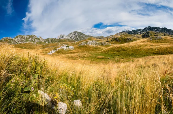 Summer Mountain Durmitor National Park, Czarnogóra. Patelnia Durmitor — Zdjęcie stockowe