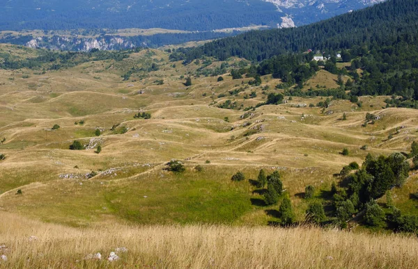 黑山夏季山杜米托国家公园。杜米托·帕 — 图库照片