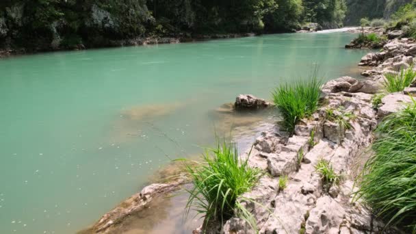 Rivière Fond Canyon Tara Monténégro Paysage Estival — Video