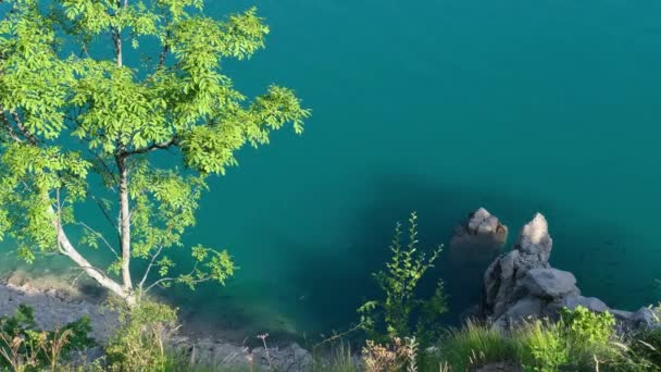 Fisk Berömda Reservoaren Piva Lake Pivsko Jezero Sommarutsikt Montenegro — Stockvideo