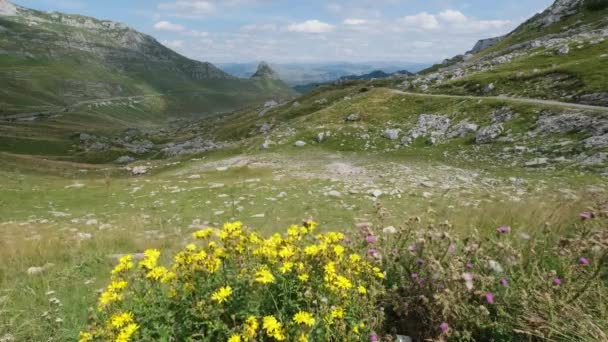 Живописний Літній Гірський Ландшафт Національному Парку Дурміор Чорногорія Європа Балкани — стокове відео