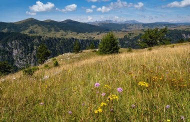 Durmitor Ulusal Parkı'ndaki Yaz Tara Kanyonu, Karadağ