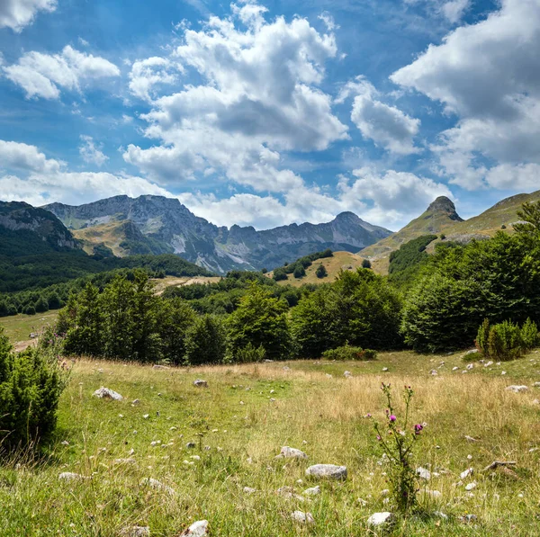 Nyári Mountain Durmitor Nemzeti Park, Montenegró. Durmitor serpenyő — Stock Fotó