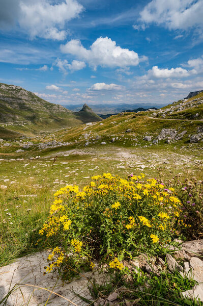 Летний горный национальный парк Дурмитор, Черногория. Дурмитор
