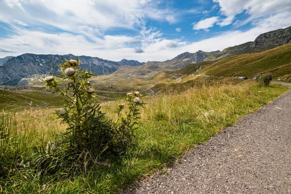 Yaz dağ Durmitor Milli Parkı, Karadağ. Durmitor tava — Stok fotoğraf