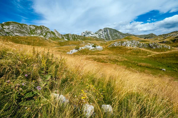Εθνικό πάρκο Durmitor, καλοκαιρινό βουνό, Μαυροβούνιο. Τηγάνι — Φωτογραφία Αρχείου