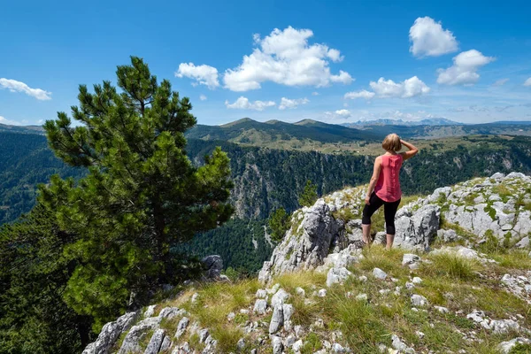 Letní Tara kaňon v horském národním parku Durmitor, Montenegr — Stock fotografie