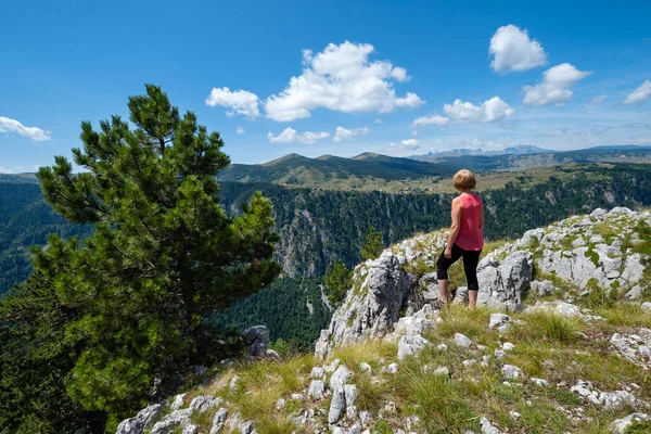 Letní Tara kaňon v horském národním parku Durmitor, Montenegr — Stock fotografie