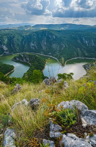 Sırbistan Uvac Nehri Nin Kıvrımlarının Güzel Yaz Manzarası — Stok fotoğraf