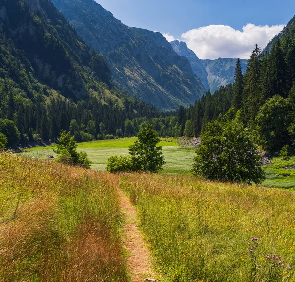 ドゥルモーター国立公園 モンテネグロ ヨーロッパ バルカン ディナリックアルプス ユネスコ世界遺産の絵のような夏の山の風景 山の湿地で草原中空 — ストック写真
