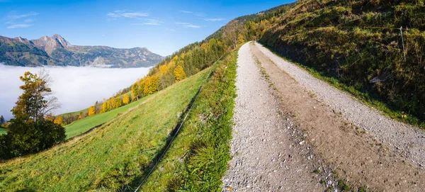 Sunny Idyllic Autumn Alpine Scene Peaceful Misty Morning Alps Mountain — Stock Photo, Image