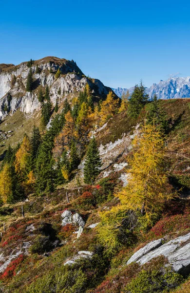 日当たりの良い牧歌的な秋の高山のシーン ドルフガステインからパラーゼ湖 ランドザルツブルグ オーストリアへのハイキングコースからの穏やかなアルプスの山の景色 絵のように美しいハイキング季節 自然の美しさのコンセプトシーン — ストック写真