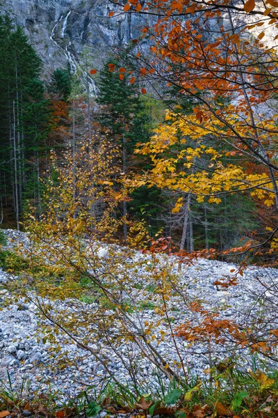 Peaceful Autumn Alps Widok Las Górski Ścieżki Turystycznej Land Salzburg — Zdjęcie stockowe