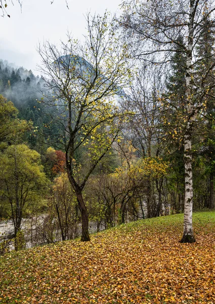 Nublado Nebuloso Otoño Escena Montaña Alpina Lienzer Austriaco Dolomiten Alps — Foto de Stock