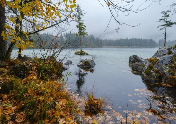 Lac Automne Alpin Montagne Hintersee Parc National Berchtesgaden Deutschland Alpes — Photo