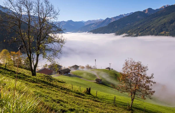 Ensoleillé Idyllique Scène Alpine Automne Matin Paisible Brumeux Vue Sur — Photo