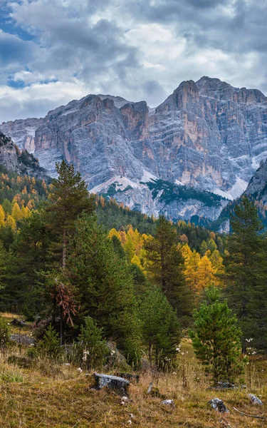 曇りの朝の秋の高山ドロマイト山のシーン イタリア ベルーノのバルパローラ パス付近の静かな景色 絵のような旅行 自然と田舎の美しさのコンセプトシーン — ストック写真