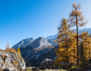 Fedaia Pass, Trentino, Sudtirol, İtalya 'dan sonbahar Dolomitleri dağ manzarası. Resimli seyahat, mevsimlik ve doğa güzelliği konsepti..