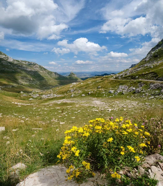 Verão Montanha Durmitor National Park Montenegro Durmitor Estrada Panorâmica Passe — Fotografia de Stock