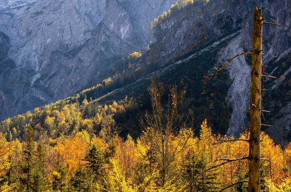 Słoneczna Idylliczna Kolorowa Jesienna Scena Alpejska Spokojny Widok Skaliste Góry — Zdjęcie stockowe