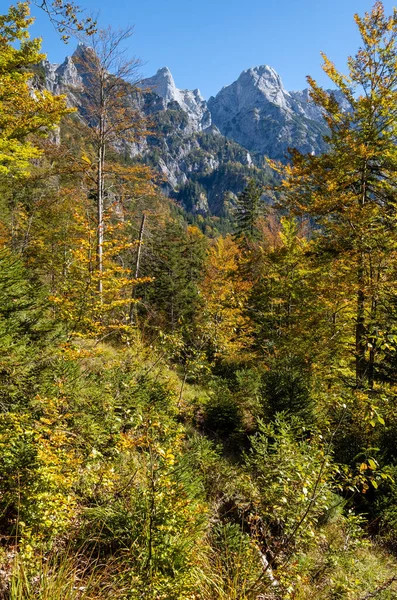 Solig Idyllisk Färgstark Höst Alpin Scen Lugn Klippig Bergsutsikt Från — Stockfoto