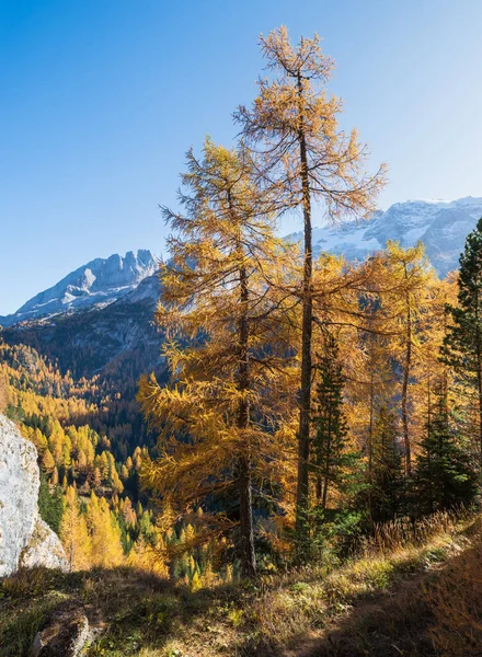 Autunno Dolomiti Alpine Vista Sulle Montagne Dal Passo Fedaia Trentino — Foto Stock