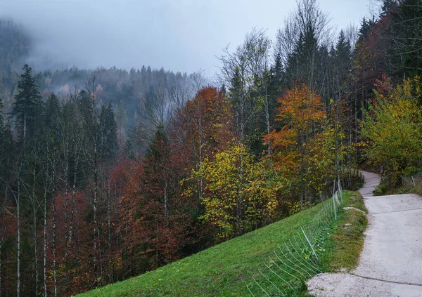 Chmurne Mgliste Jesienne Prealpy Widok Górskiej Ścieżki Wiejskiej Spokojne Malownicze — Zdjęcie stockowe