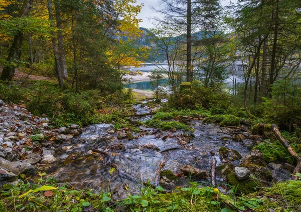 Autunno Vista Ruscello Alpino Tranquillo Lago Montagna Con Acqua Limpida — Foto Stock