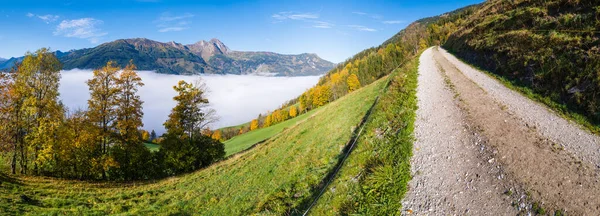 Sunny Idyllic Autumn Alpine Scene Peaceful Misty Morning Alps Mountain — Stock Photo, Image