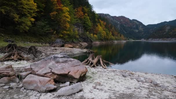 Δέντρα Κοντά Στη Λίμνη Gosauseen Vorderer Gosausee Άνω Αυστρία Πολύχρωμη — Αρχείο Βίντεο