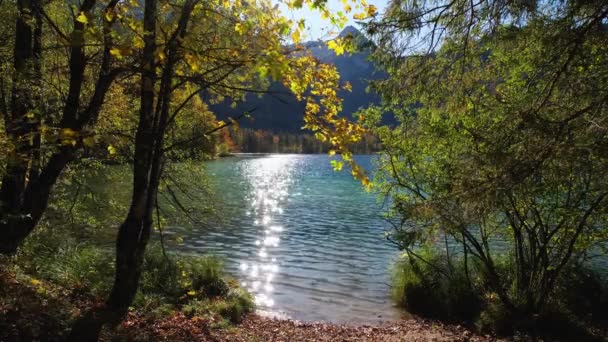 Soleggiato Idilliaco Colorato Autunno Vista Alpina Tranquillo Lago Montagna Delle — Video Stock