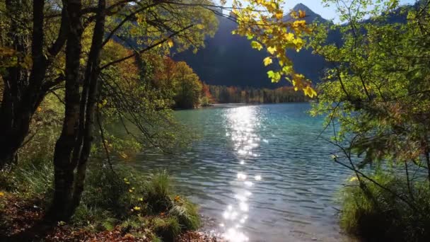 Sonnige Idyllische Farbenfrohe Herbstlandschaft Ruhige Herbstliche Alpen Bergsee Mit Klarem — Stockvideo