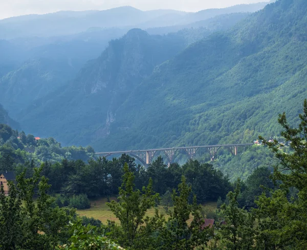 Sommar Dimmiga Bergslandskap Med Bro Tara Canyon Montenegro — Stockfoto