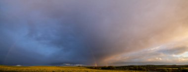 Yağmurdan sonra bulutlu gün batımı gökyüzü bahar kolza tohumu ve küçük tarlalar ve kırsal tepeler üzerinde renkli gökkuşağı. Doğal mevsim, hava, iklim, kırsal güzellik panoramik konsept sahnesi.