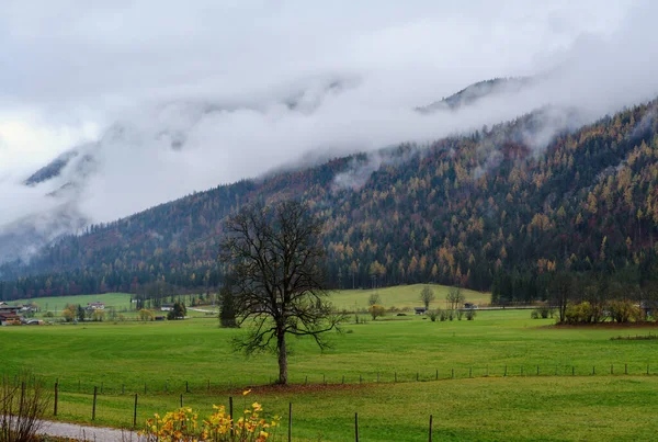 多云多雾的秋天预示着高山乡村的景色 和平的风景秀丽的旅游 季节性的 自然的和乡村的美的概念风景 — 图库照片