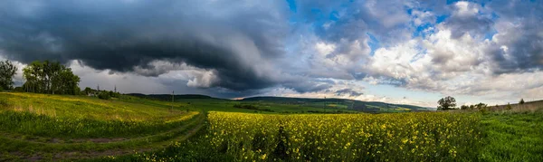 Primavera Campos Colza Floridos Amarelos Estrada Terra Céu Nublado Dramático — Fotografia de Stock