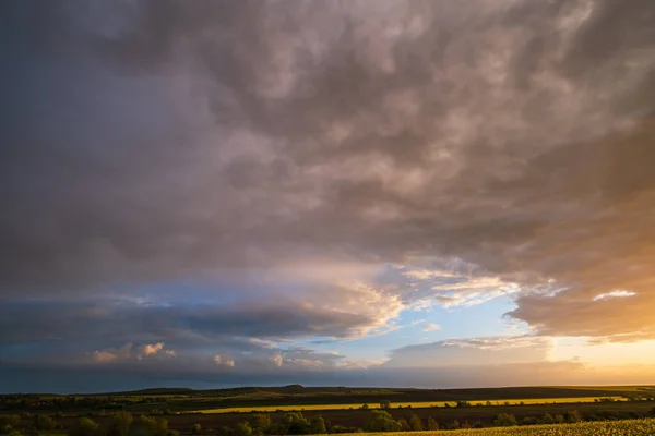 Molnigt Solnedgång Kväll Himmel Ovanför Våren Raps Gula Fält Och — Stockfoto