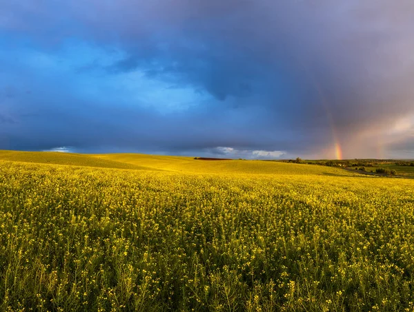春油菜籽和小农田雨后黄昏的景色 多云的日落天空 彩虹斑斓 乡村小山 自然季节 乡村美的概念 — 图库照片