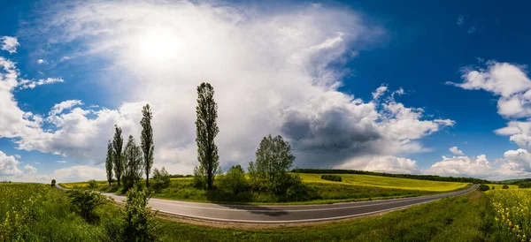 Road Thrue Jaro Řepkové Semeno Žluté Kvetoucí Pole Panoramatický Výhled — Stock fotografie