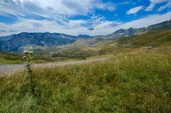 Γραφικό Καλοκαιρινό Ορεινό Τοπίο Του Εθνικού Πάρκου Durmitor Μαυροβούνιο Ευρώπη — Φωτογραφία Αρχείου
