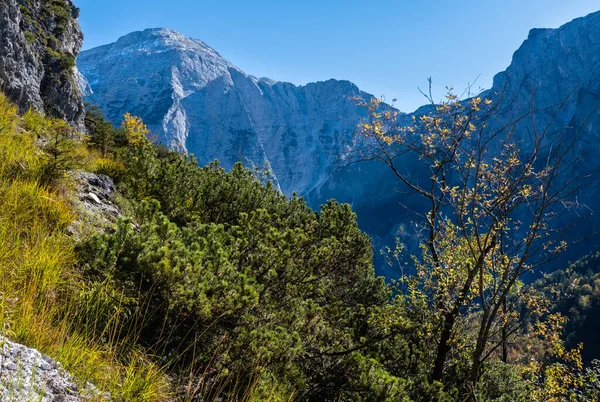 Słoneczna Idylliczna Kolorowa Jesienna Scena Alpejska Spokojny Widok Skaliste Góry — Zdjęcie stockowe