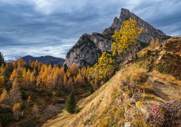 Barevná Podzimní Alpská Horská Scéna Dolomity Sudtirol Itálie Mírumilovný Pohled — Stock fotografie