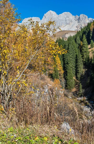 Herbstlicher Blick Auf Die Dolomiten Vom San Pellegrino Pass Trentino — Stockfoto