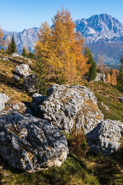 Güneşli Resimli Sonbahar Dağları Dolomitler Giau Geçidi Nden Cinque Torri — Stok fotoğraf