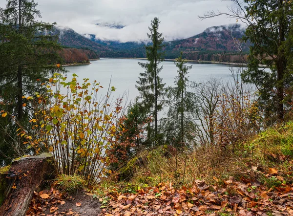 德国巴伐利亚Isar河上的Alpine Sylvenstein Stausee湖 秋天阴沉沉的 雾蒙蒙的 毛毛雨蒙蒙的 风景秀丽的旅游 天气和自然美景概念场景 — 图库照片