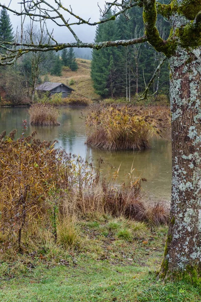 Озеро Герольди Вентспилс Бавария Германия Осенний Пасмурный День Туман Дождь — стоковое фото