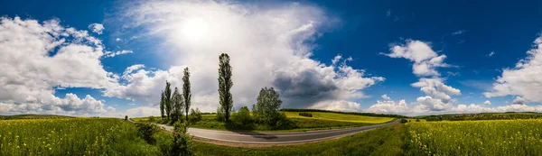 Road Thrue Spring Rapeseed Yellow Blooming Fields Panoramic View Blue — Stock Photo, Image