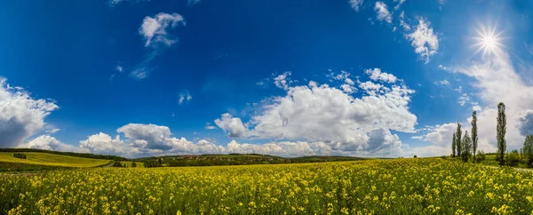 Tavaszi Repce Sárga Virágzó Mezők Panoráma Nagy Felbontású Kilátás Kék — Stock Fotó