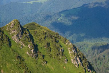 Yaz dağı kayalık tepesi ve cüce alp çalıları. Marmaros Pip Ivan Dağı, Karpatyalı, Ukrayna.