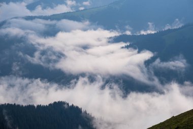 Yaz sisli ve bulutlu sabah zirveleri alçak bulutlu. Marmaros Carpathian, Ukrayna.